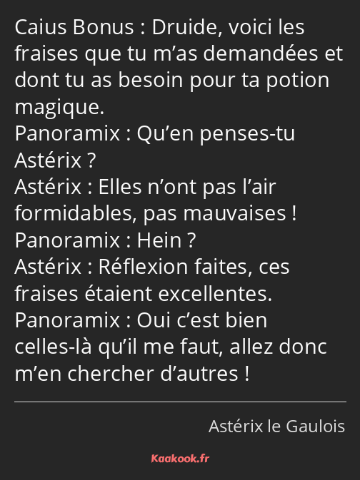 Druide, voici les fraises que tu m’as demandées et dont tu as besoin pour ta potion magique. Qu’en…
