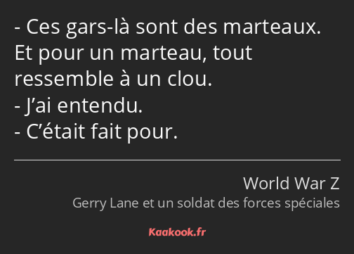 Ces gars-là sont des marteaux. Et pour un marteau, tout ressemble à un clou. J’ai entendu. C’était…
