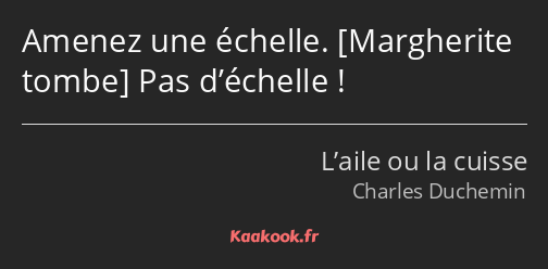 Amenez une échelle. Pas d’échelle !