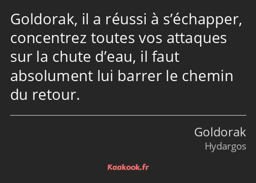 Goldorak, il a réussi à s’échapper, concentrez toutes vos attaques sur la chute d’eau, il faut…