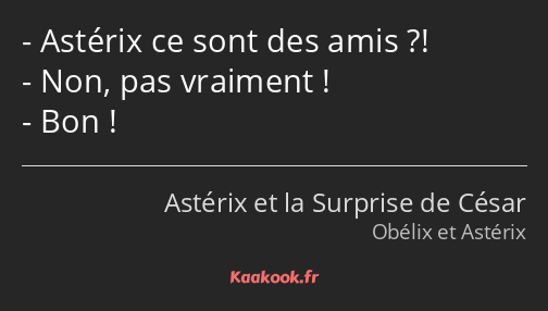 Astérix ce sont des amis ?! Non, pas vraiment ! Bon !