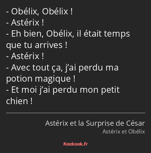 Obélix, Obélix ! Astérix ! Eh bien, Obélix, il était temps que tu arrives ! Astérix ! Avec tout ça…