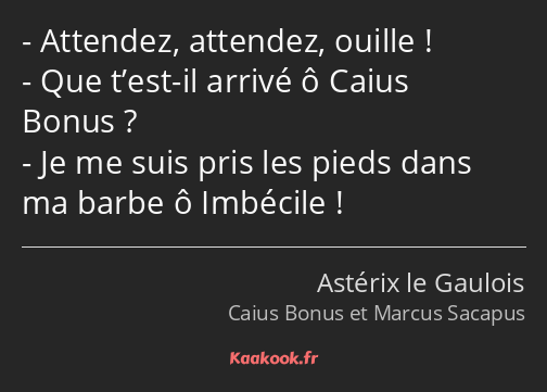 Attendez, attendez, ouille ! Que t’est-il arrivé ô Caius Bonus ? Je me suis pris les pieds dans ma…