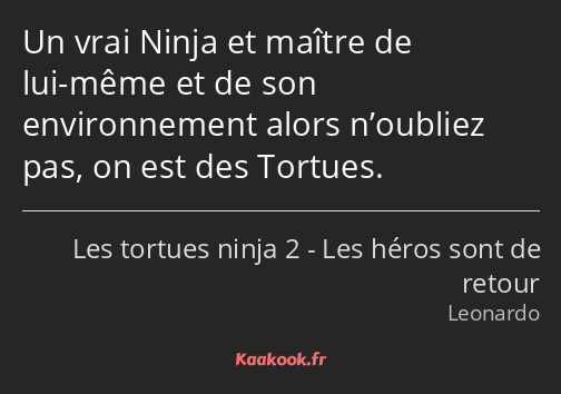 Un vrai Ninja et maître de lui-même et de son environnement alors n’oubliez pas, on est des Tortues.