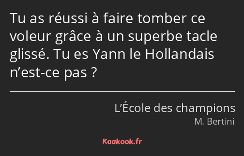 Tu as réussi à faire tomber ce voleur grâce à un superbe tacle glissé. Tu es Yann le Hollandais…