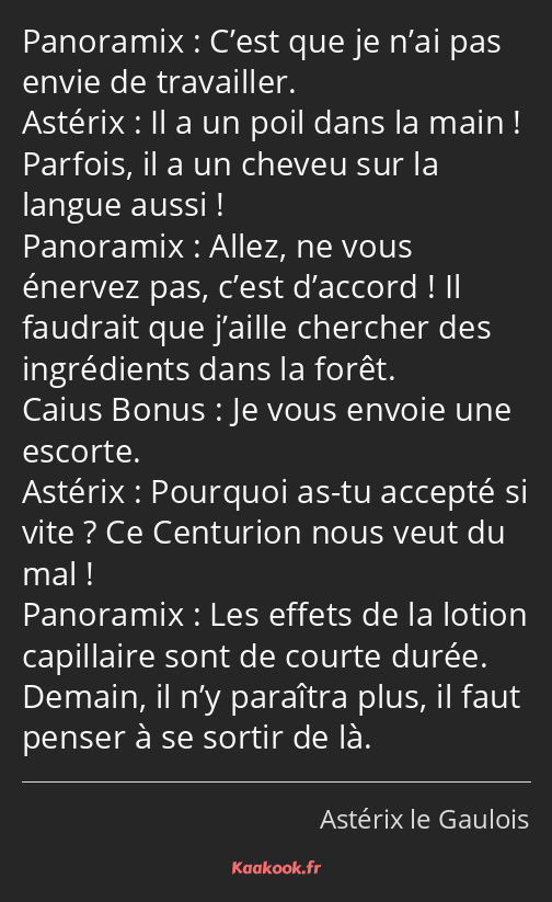 C’est que je n’ai pas envie de travailler. Il a un poil dans la main ! Parfois, il a un cheveu sur…