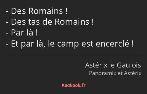 Des Romains ! Des tas de Romains ! Par là ! Et par là, le camp est encerclé !