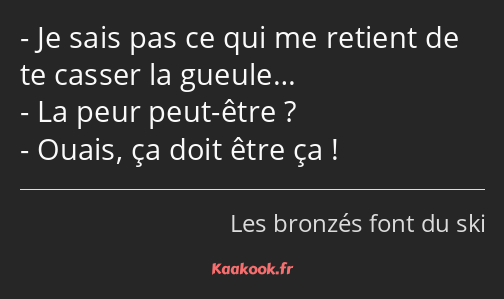 Je sais pas ce qui me retient de te casser la gueule… La peur peut-être ? Ouais, ça doit être ça !