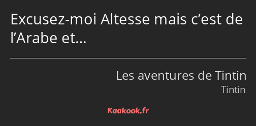 Excusez-moi Altesse mais c’est de l’Arabe et…
