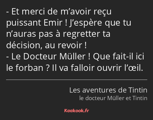 Et merci de m’avoir reçu puissant Emir ! J’espère que tu n’auras pas à regretter ta décision, au…