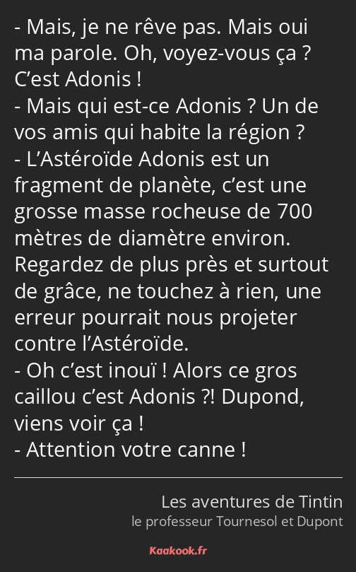 Mais, je ne rêve pas. Mais oui ma parole. Oh, voyez-vous ça ? C’est Adonis ! Mais qui est-ce Adonis…