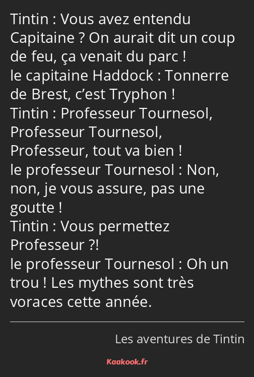 Vous avez entendu Capitaine ? On aurait dit un coup de feu, ça venait du parc ! Tonnerre de Brest…