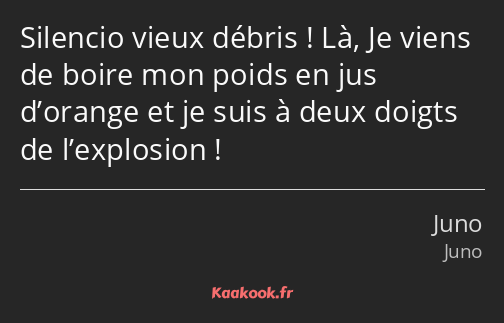 Silencio vieux débris ! Là, Je viens de boire mon poids en jus d’orange et je suis à deux doigts de…