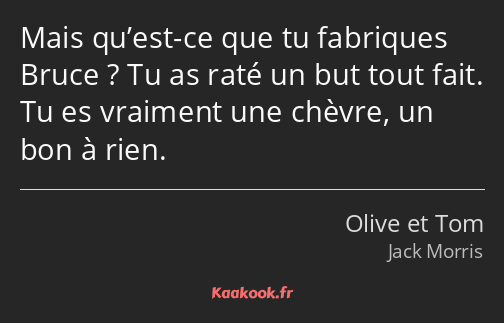 Mais qu’est-ce que tu fabriques Bruce ? Tu as raté un but tout fait. Tu es vraiment une chèvre, un…