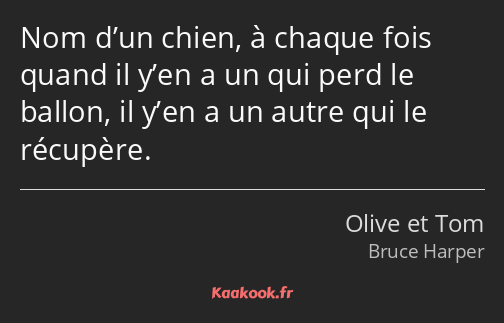 Nom d’un chien, à chaque fois quand il y’en a un qui perd le ballon, il y’en a un autre qui le…