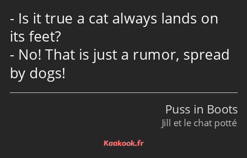 Is it true a cat always lands on its feet? No! That is just a rumor, spread by dogs!