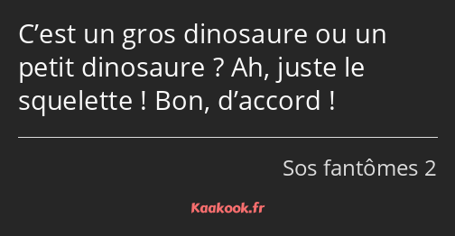 C’est un gros dinosaure ou un petit dinosaure ? Ah, juste le squelette ! Bon, d’accord !
