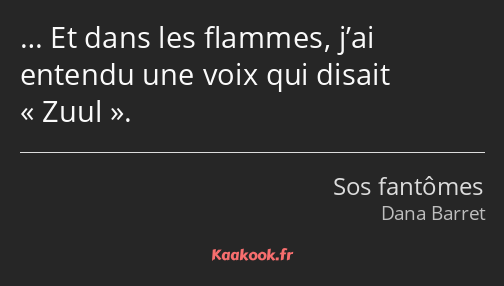 … Et dans les flammes, j’ai entendu une voix qui disait Zuul.