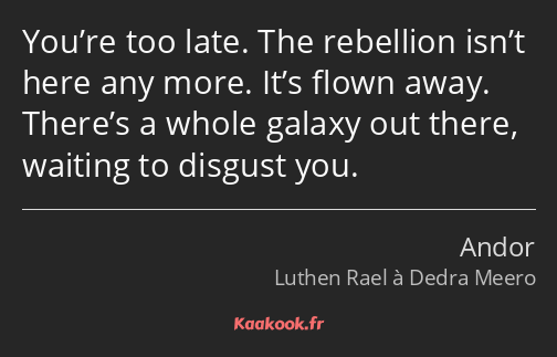 You’re too late. The rebellion isn’t here any more. It’s flown away. There’s a whole galaxy out…