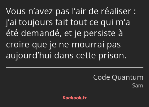 Vous n’avez pas l’air de réaliser : j’ai toujours fait tout ce qui m’a été demandé, et je persiste…