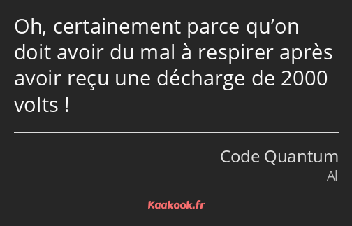 Oh, certainement parce qu’on doit avoir du mal à respirer après avoir reçu une décharge de 2000…