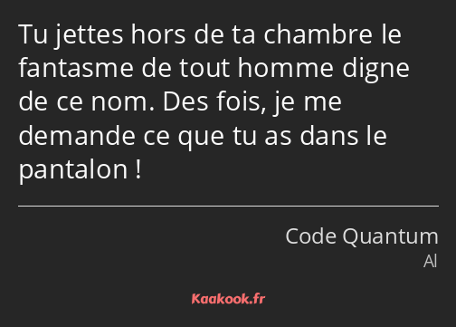 Tu jettes hors de ta chambre le fantasme de tout homme digne de ce nom. Des fois, je me demande ce…