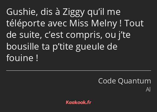 Gushie, dis à Ziggy qu’il me téléporte avec Miss Melny ! Tout de suite, c’est compris, ou j’te…