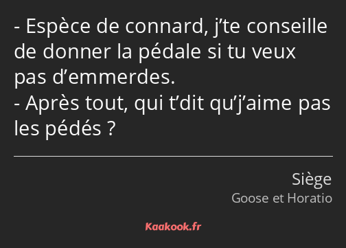 Espèce de connard, j’te conseille de donner la pédale si tu veux pas d’emmerdes. Après tout, qui…