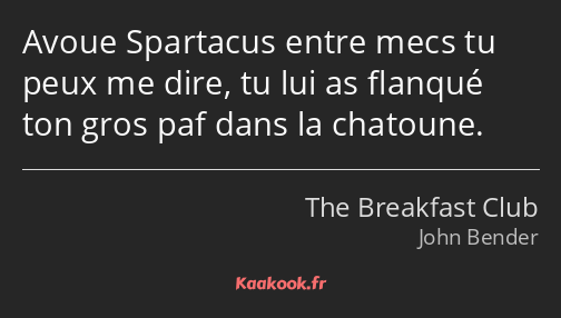 Avoue Spartacus entre mecs tu peux me dire, tu lui as flanqué ton gros paf dans la chatoune.