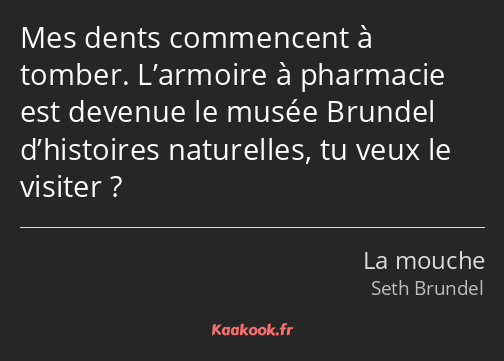 Mes dents commencent à tomber. L’armoire à pharmacie est devenue le musée Brundel d’histoires…