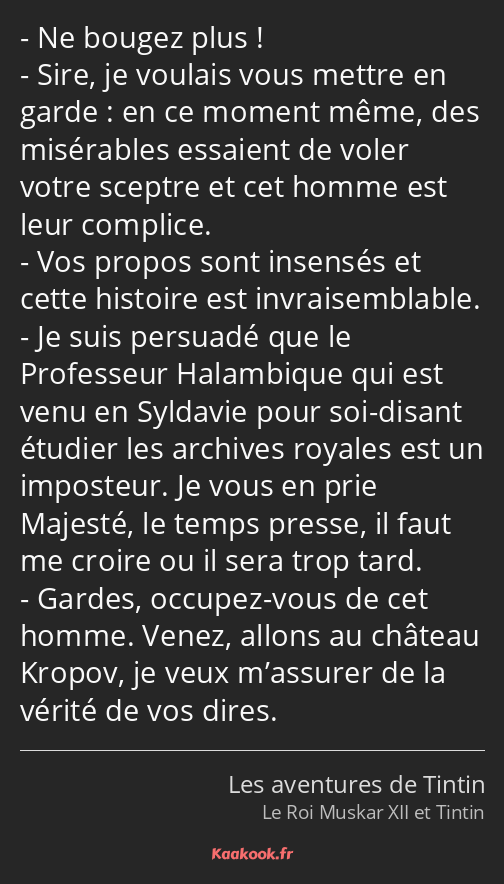Ne bougez plus ! Sire, je voulais vous mettre en garde : en ce moment même, des misérables essaient…
