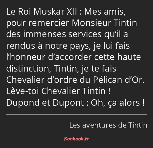 Mes amis, pour remercier Monsieur Tintin des immenses services qu’il a rendus à notre pays, je lui…