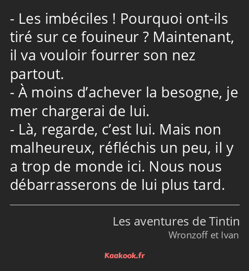 Les imbéciles ! Pourquoi ont-ils tiré sur ce fouineur ? Maintenant, il va vouloir fourrer son nez…