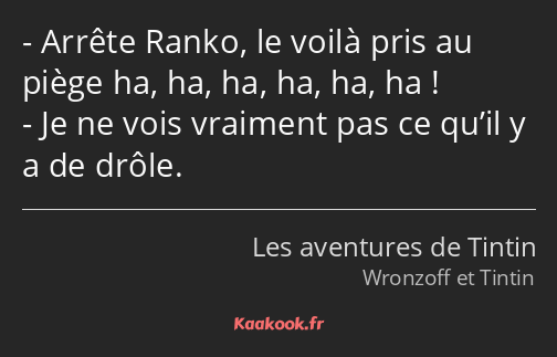Arrête Ranko, le voilà pris au piège ha, ha, ha, ha, ha, ha ! Je ne vois vraiment pas ce qu’il y a…