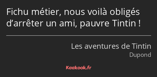 Fichu métier, nous voilà obligés d’arrêter un ami, pauvre Tintin !