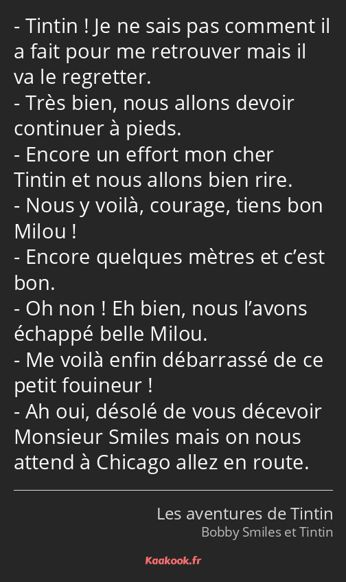 Tintin ! Je ne sais pas comment il a fait pour me retrouver mais il va le regretter. Très bien…
