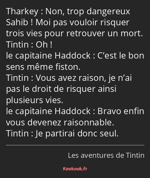 Non, trop dangereux Sahib ! Moi pas vouloir risquer trois vies pour retrouver un mort. Oh ! C’est…