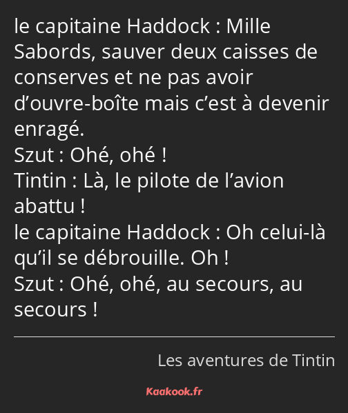 Mille Sabords, sauver deux caisses de conserves et ne pas avoir d’ouvre-boîte mais c’est à devenir…