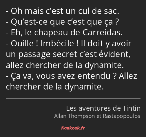 Oh mais c’est un cul de sac. Qu’est-ce que c’est que ça ? Eh, le chapeau de Carreidas. Ouille…