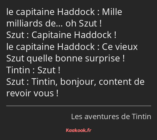 Mille milliards de… oh Szut ! Capitaine Haddock ! Ce vieux Szut quelle bonne surprise ! Szut…