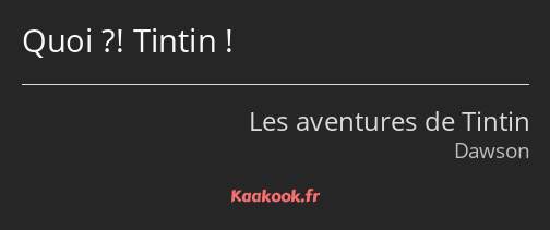 Quoi ?! Tintin !