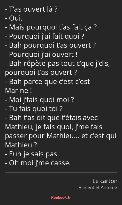 T’as ouvert là ? Oui. Mais pourquoi t’as fait ça ? Pourquoi j’ai fait quoi ? Bah pourquoi t’as…