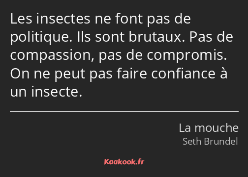 Les insectes ne font pas de politique. Ils sont brutaux. Pas de compassion, pas de compromis. On ne…