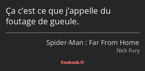 Ça c’est ce que j’appelle du foutage de gueule.