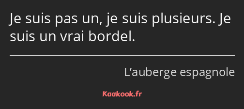 Je suis pas un, je suis plusieurs. Je suis un vrai bordel.