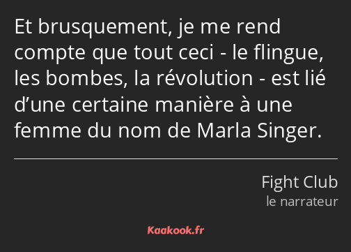 Et brusquement, je me rend compte que tout ceci - le flingue, les bombes, la révolution - est lié…