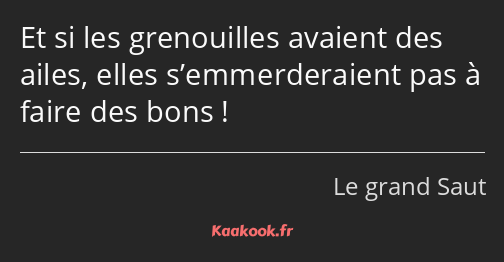 Et si les grenouilles avaient des ailes, elles s’emmerderaient pas à faire des bons !