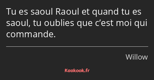 Tu es saoul Raoul et quand tu es saoul, tu oublies que c’est moi qui commande.