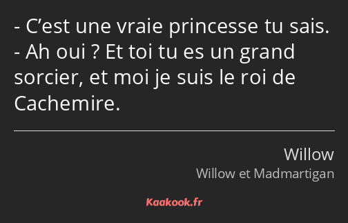 C’est une vraie princesse tu sais. Ah oui ? Et toi tu es un grand sorcier, et moi je suis le roi de…