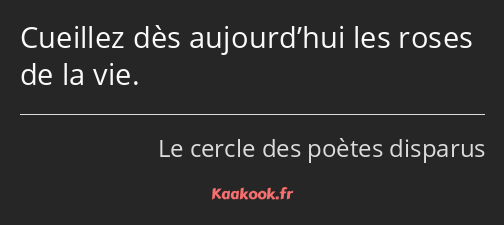 Cueillez dès aujourd’hui les roses de la vie.